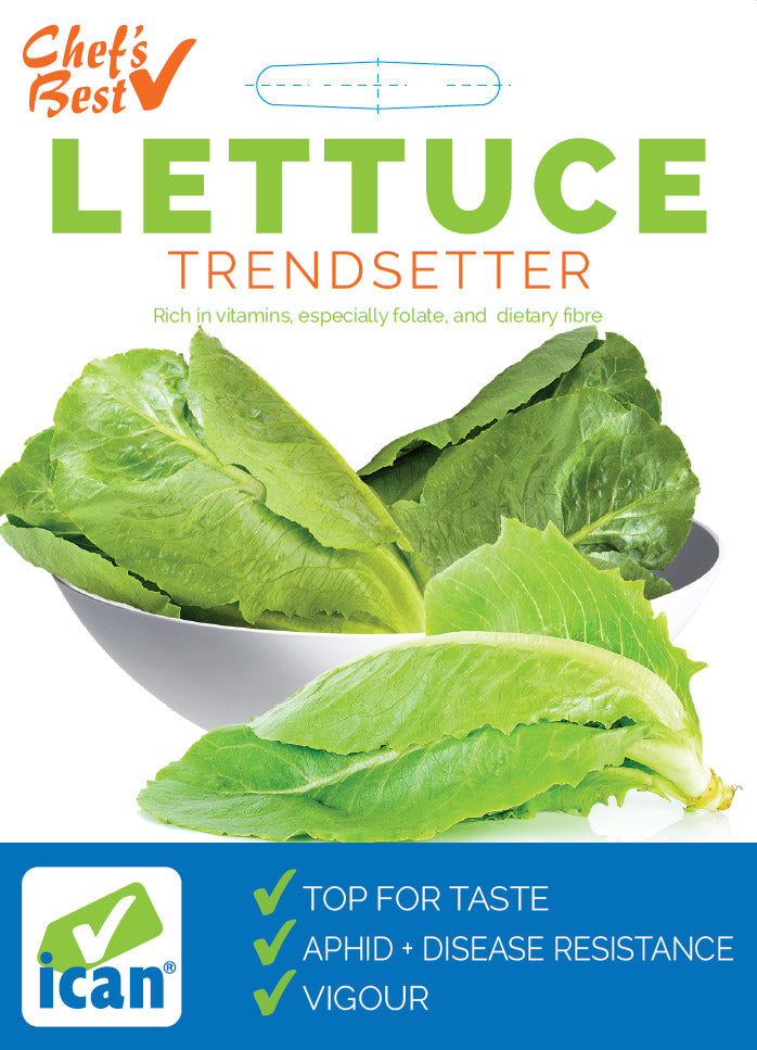 Ican Lettuce Cos Trendsetter