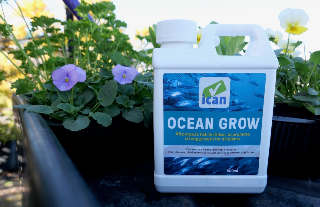 Ican Ocean Grow 500ml